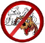 chien non