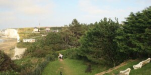 bois de cise