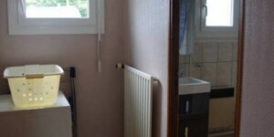 Guillot 2020 Guillot