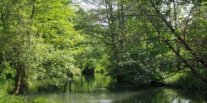 Guillot 2020 redimentionnees Guillot