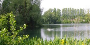 Guillot 2020 redimentionnees Guillot