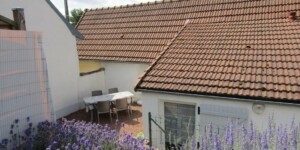 Guillot 2020 redimentionnees Guillot